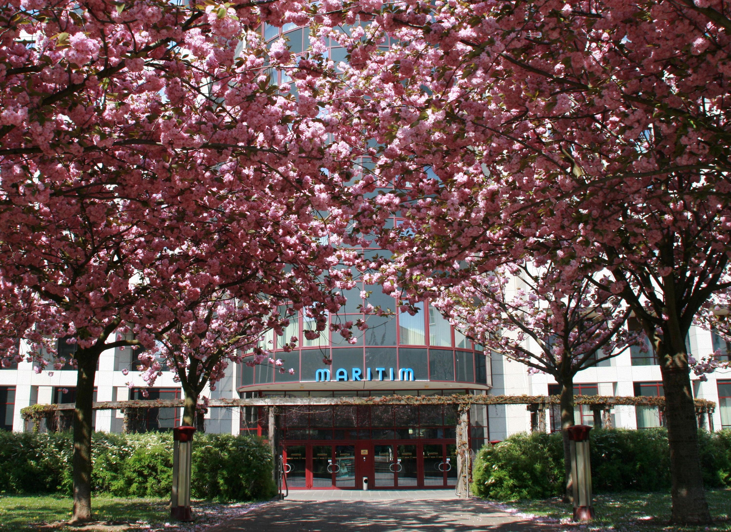Maritim Hotel Magdeburg Luaran gambar